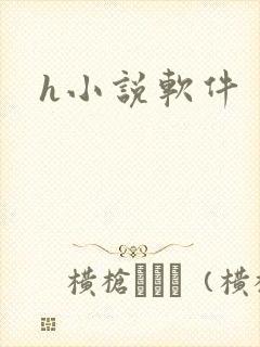 h小说软件