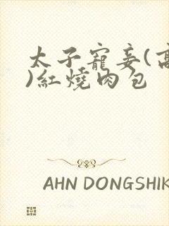 太子宠妾(高肉)红烧肉包封面