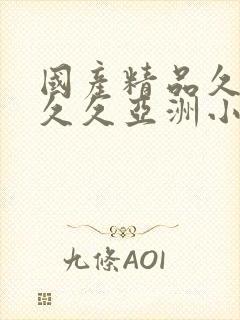 国产精品久久久久久亚洲小说