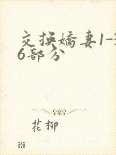 交换娇妻1-36部分
