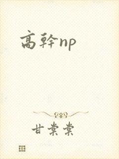 高干np