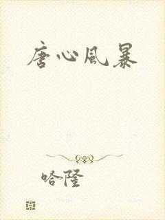 唐心风暴