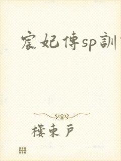 宸妃传sp训诫