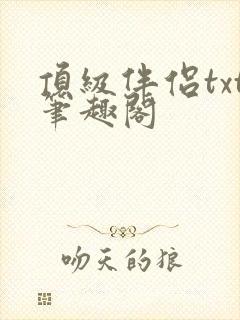 顶级伴侣txt笔趣阁