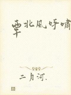 西北风呼啸的中午