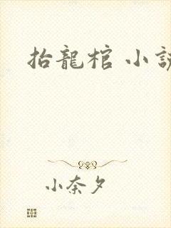 抬龙棺 小说封面