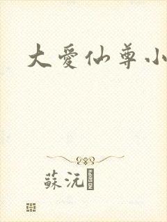 大爱仙尊小说
