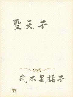 圣天子封面