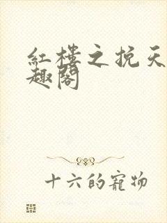 红楼之挽天倾笔趣阁