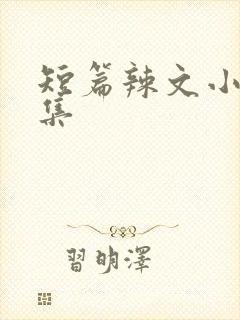 短篇辣文小说合集