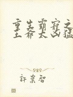 重生霸宠之摄政王爷太凶猛封面