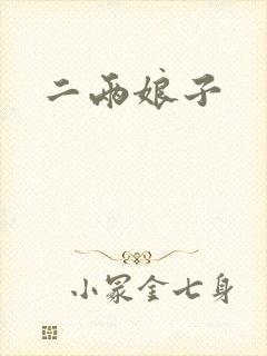 二两娘子封面
