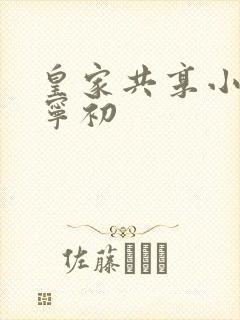 皇家共享小公主宁初