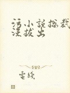 污小说总裁整夜没拔出