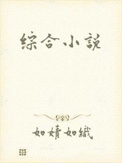 综合小说封面