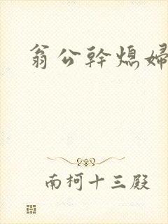 翁公干熄妇封面