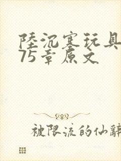 陆沉塞玩具高速75章原文