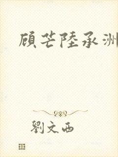 顾芒陆承洲