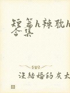 短篇h辣耽h文合集封面