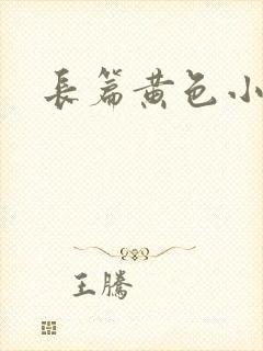 长篇黄色小说封面