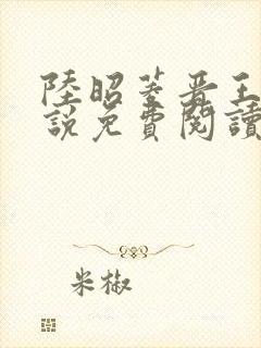 陆昭菱晋王的小说免费阅读