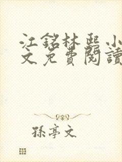 江铭林熙小说全文免费阅读