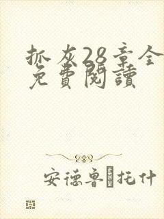 抓灰28章全部免费阅读