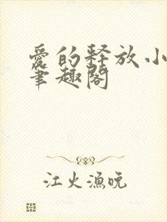 爱的释放小说 笔趣阁