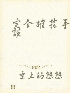 完全摧花手册小说