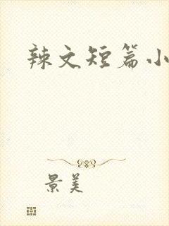 辣文短篇小说