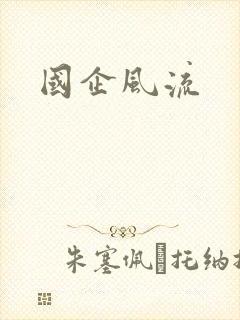 国企风流
