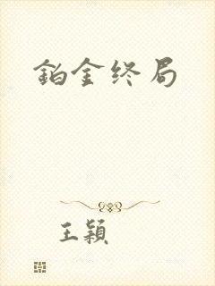 铂金终局
