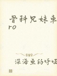 骨科兄妹车多pro