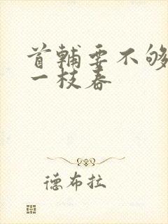 首辅要不够po一枝春封面