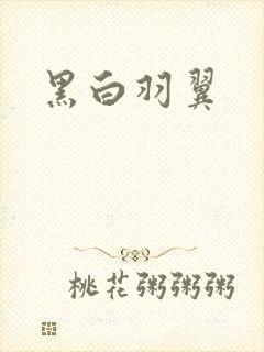 黑白羽翼