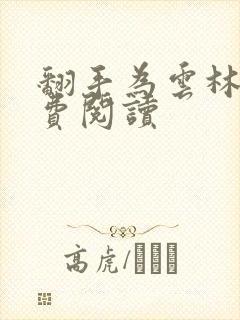 翻手为云林云免费阅读封面