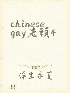 chinesegay老头4封面