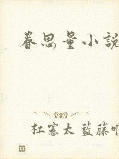 眷思量小说
