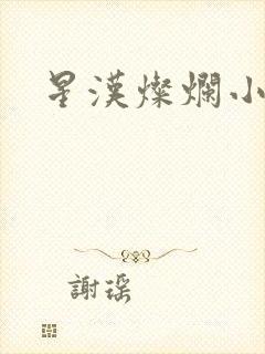 星汉灿烂小说