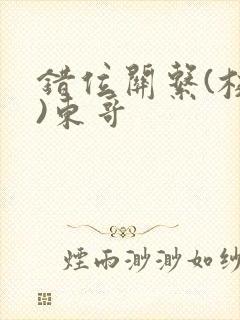 错位关系(校园)东哥
