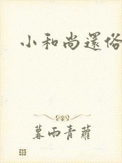小和尚还俗记