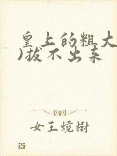 皇上的粗大(h)拔不出来