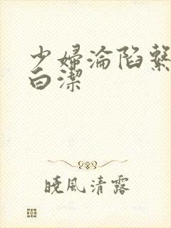 少妇沦陷系列之白洁
