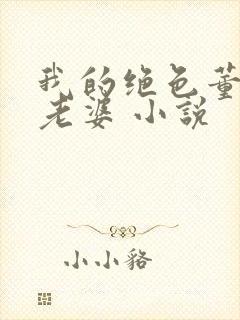 我的绝色董事长老婆 小说