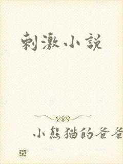 刺激小说