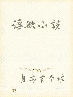 淫欲小说封面