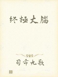 终极大脑
