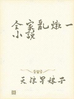 全家乱炖一锅烩小说
