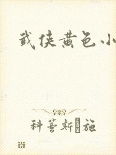 武侠黄色小说