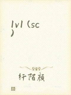 1v1 (sc)封面